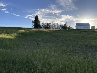 27940 West U.S. Highway 40, Steamboat Springs, CO 80487 photo 2