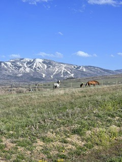 27940 West U.S. Highway 40, Steamboat Springs, CO 80487 photo 3