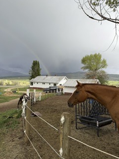 27940 West U.S. Highway 40, Steamboat Springs, CO 80487 photo 6