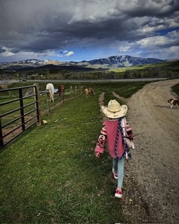 27940 West U.S. Highway 40, Steamboat Springs, CO 80487 photo 8