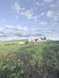 27940 West U.S. Highway 40, Steamboat Springs, CO 80487 photo 14