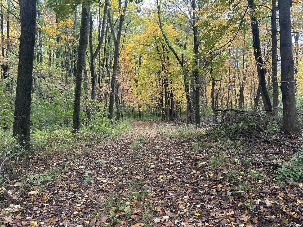 4680 Fitzpatrick Rd, Hillsdale, MI 49242 photo 19