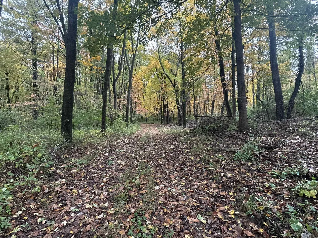 4680 Fitzpatrick Rd, Hillsdale, MI 49242 photo 21