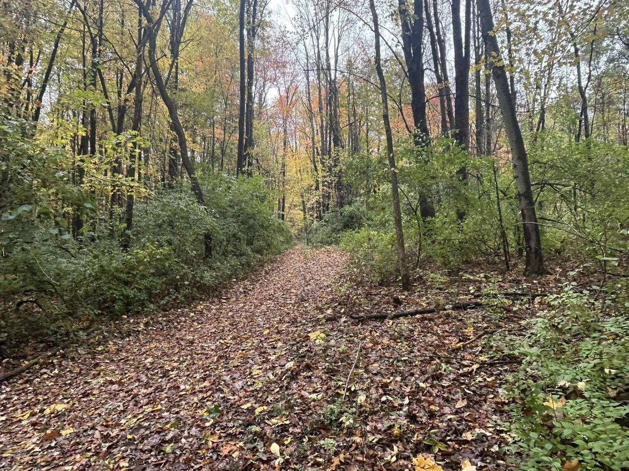 4680 Fitzpatrick Rd, Hillsdale, MI 49242 photo 22