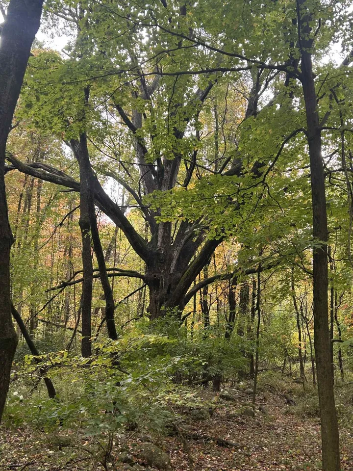 4680 Fitzpatrick Rd, Hillsdale, MI 49242 photo 24