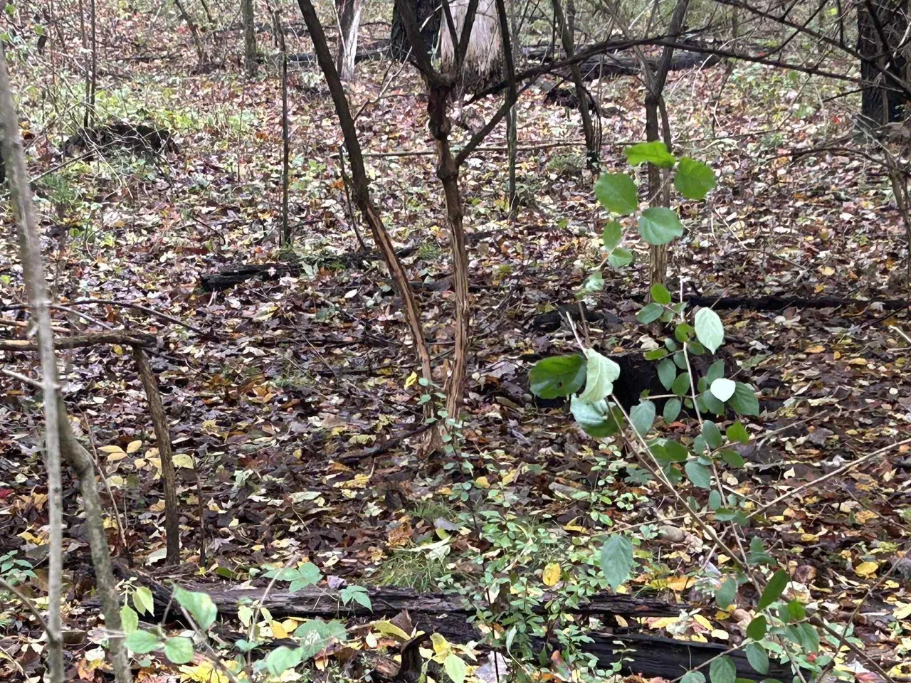 4680 Fitzpatrick Rd, Hillsdale, MI 49242 photo 25