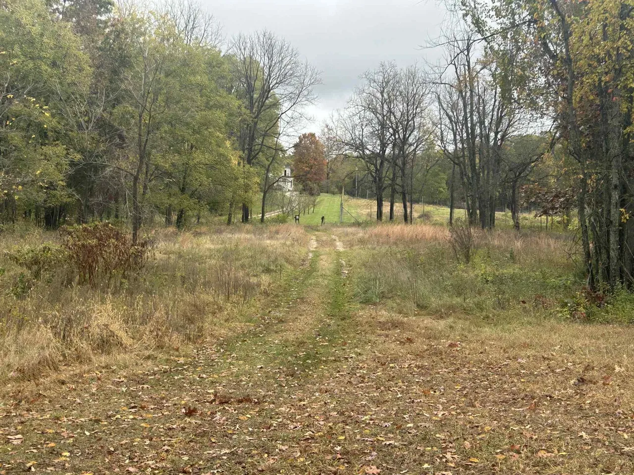 4680 Fitzpatrick Rd, Hillsdale, MI 49242 photo 26