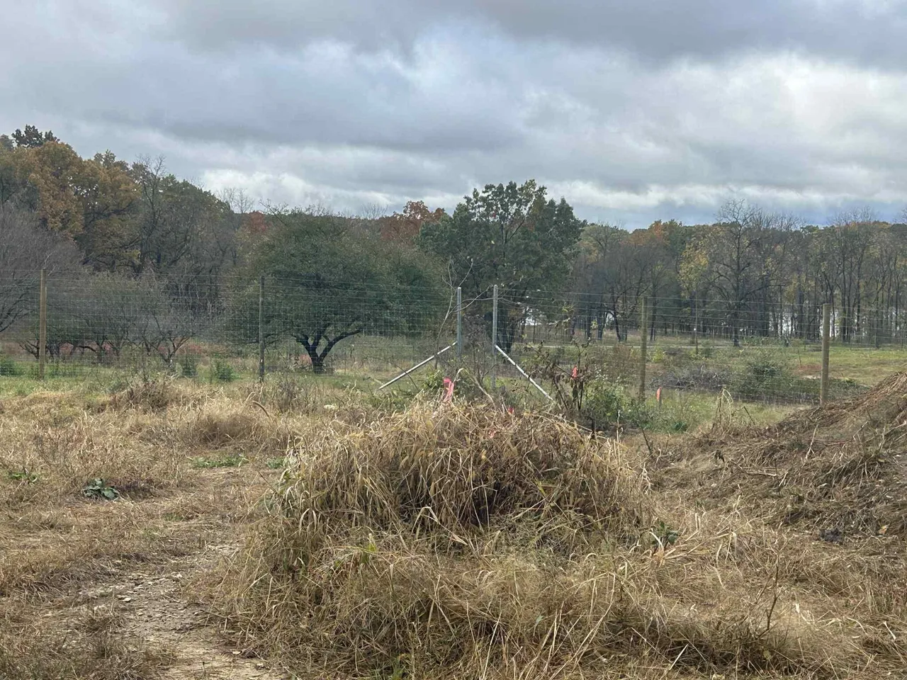 4680 Fitzpatrick Rd, Hillsdale, MI 49242 photo 27